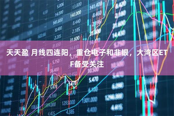 天天盈 月线四连阳，重仓电子和非银，大湾区ETF备受关注