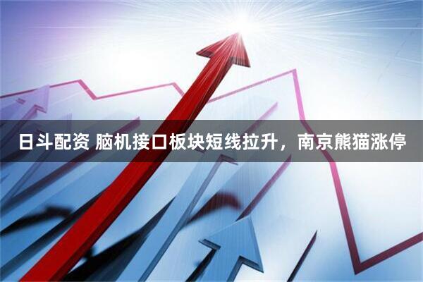 日斗配资 脑机接口板块短线拉升，南京熊猫涨停