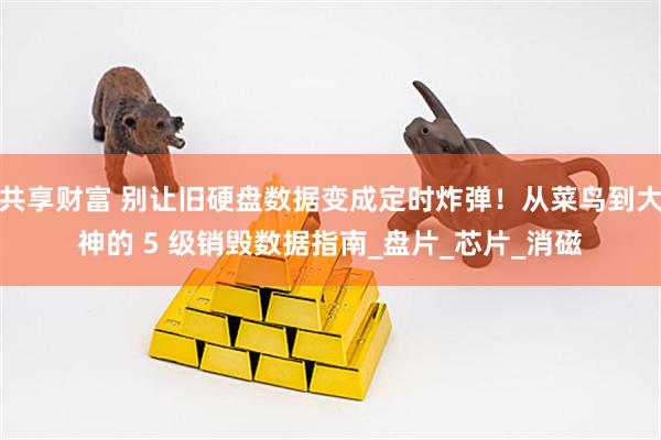 共享财富 别让旧硬盘数据变成定时炸弹！从菜鸟到大神的 5 级销毁数据指南_盘片_芯片_消磁