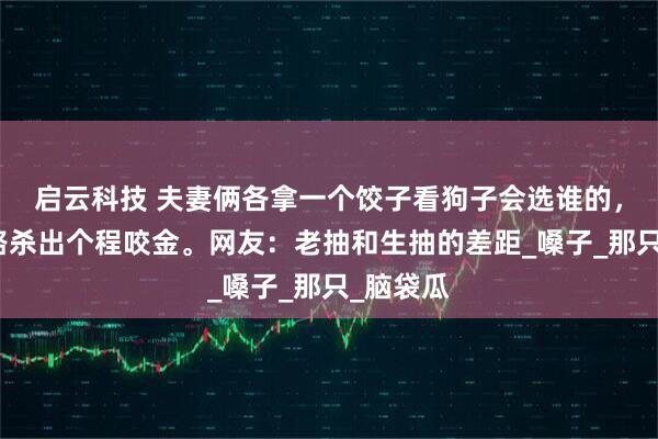启云科技 夫妻俩各拿一个饺子看狗子会选谁的，结果半路杀出个程咬金。网友：老抽和生抽的差距_嗓子_那只_脑袋瓜