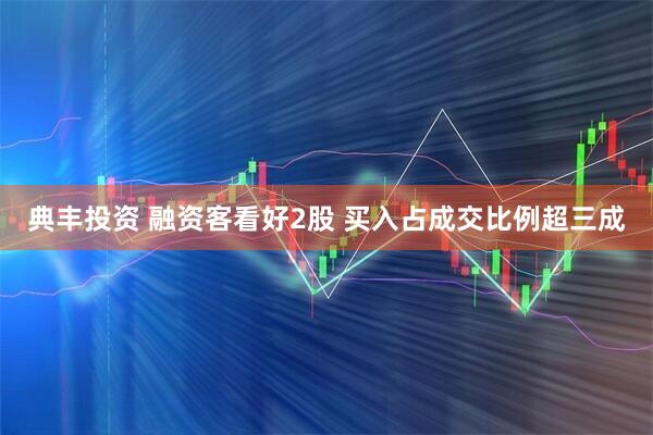 典丰投资 融资客看好2股 买入占成交比例超三成