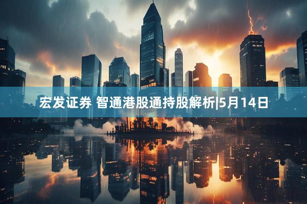 宏发证券 智通港股通持股解析|5月14日