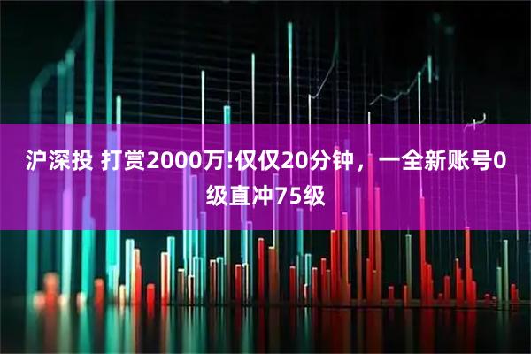 沪深投 打赏2000万!仅仅20分钟，一全新账号0级直冲75级